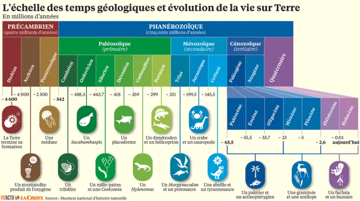 vie evolution